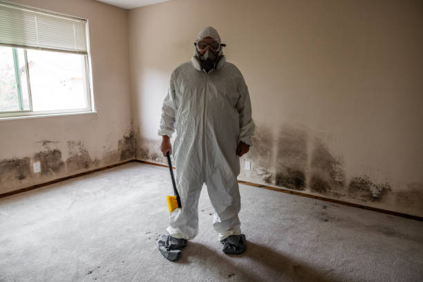 Best Certified Mold Removal  in Lowell, IN